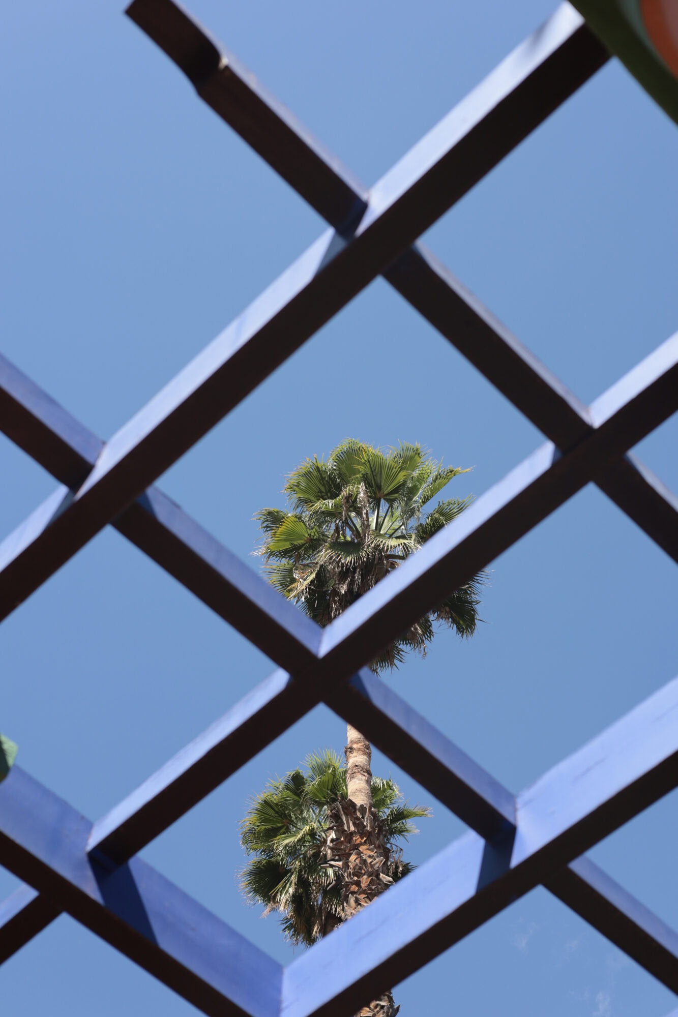 Fotoreis Marrakech | Foto: Silvia Nannings