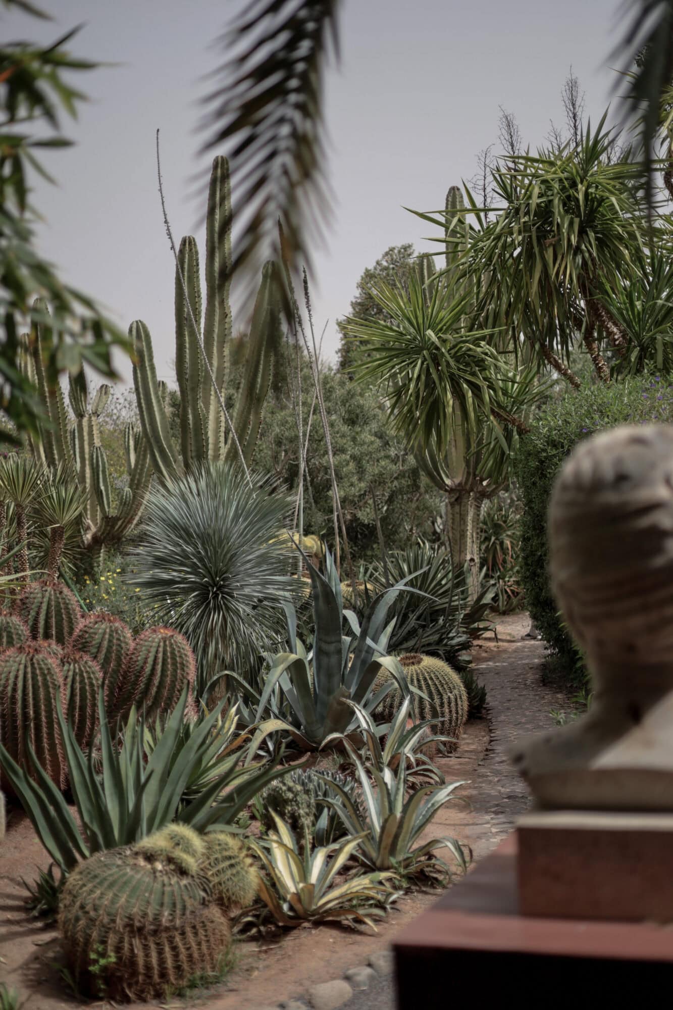 Fotoreis Marrakech | Foto: Silvia Nannings