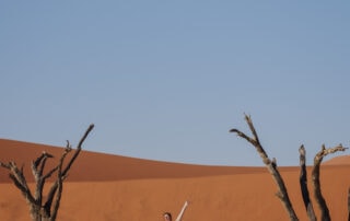 OP FOTOREIS MET ROCKY ROADS TRAVEL | ALLES WAT JE WIL WETEN 1