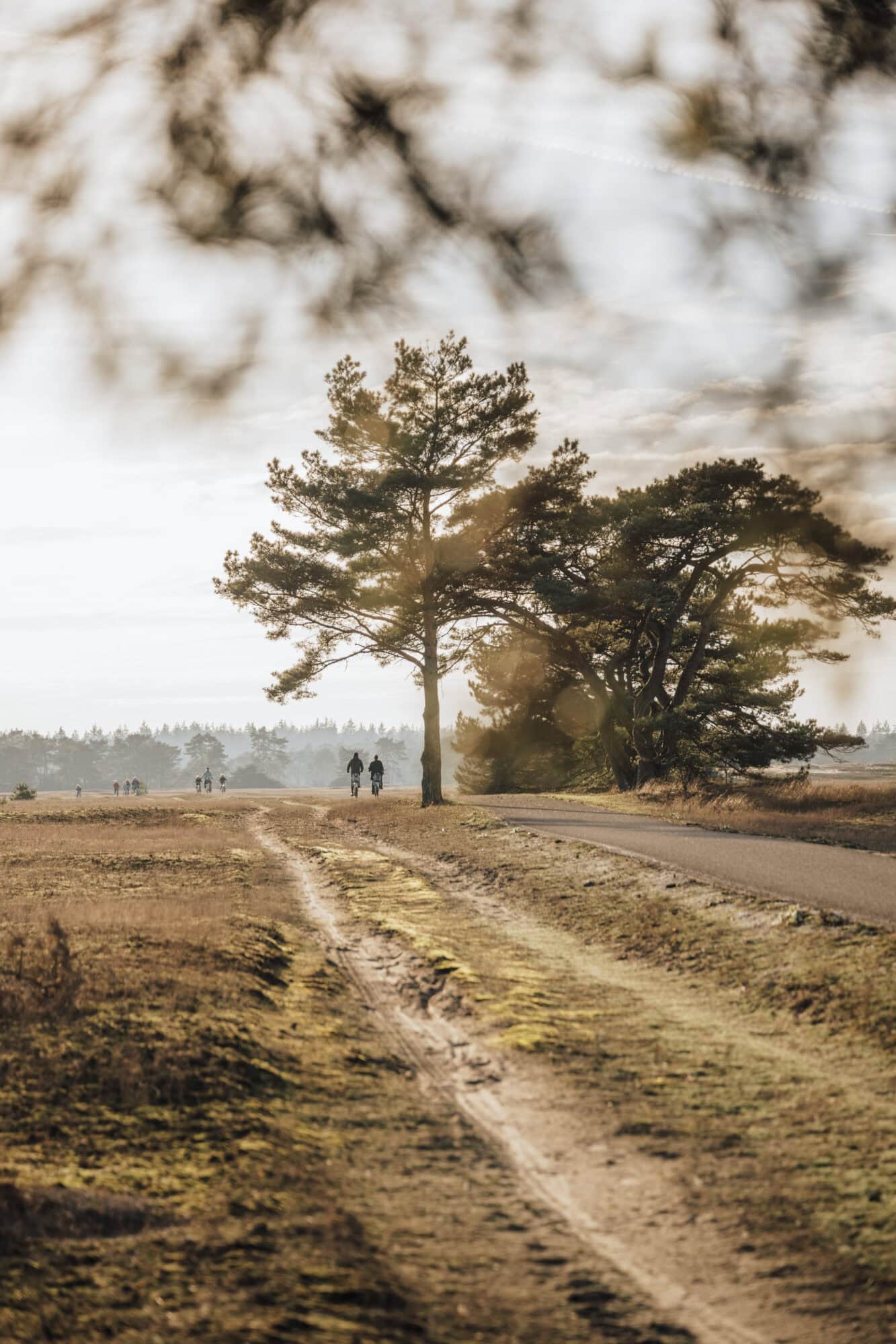Rocky Roads | Fotoworkshop 'Cycle & Shoot' | Vrijdag 16 Januari 2026 Fotoworkshop Cycle & Shoot | Rocky Roads Travel