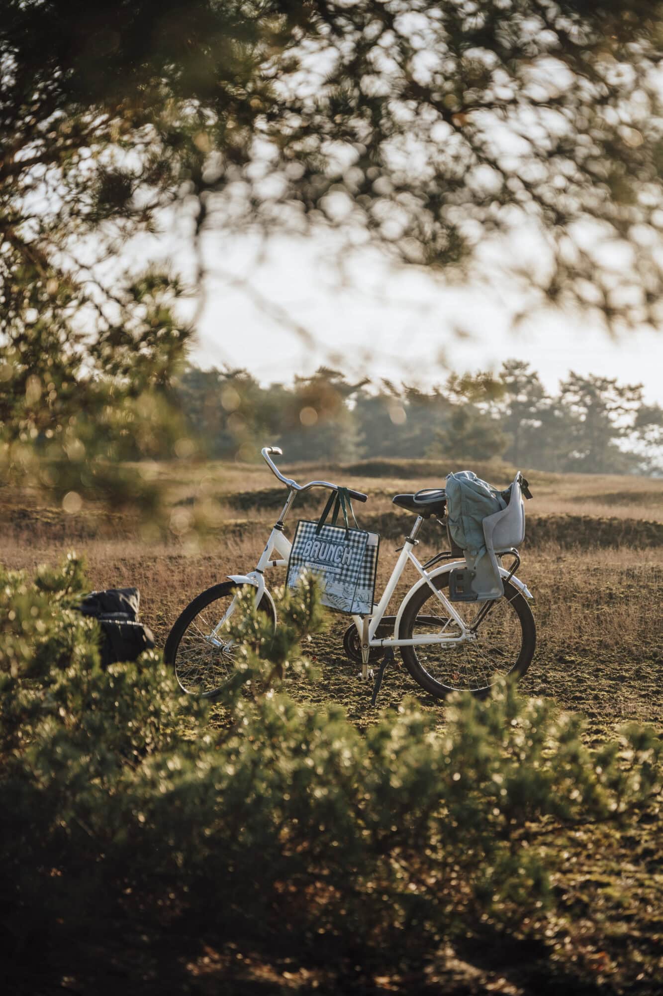 Rocky Roads | Fotoworkshop 'Cycle & Shoot' | Vrijdag 16 Januari 2026 Fotoworkshop Cycle & Shoot | Rocky Roads Travel