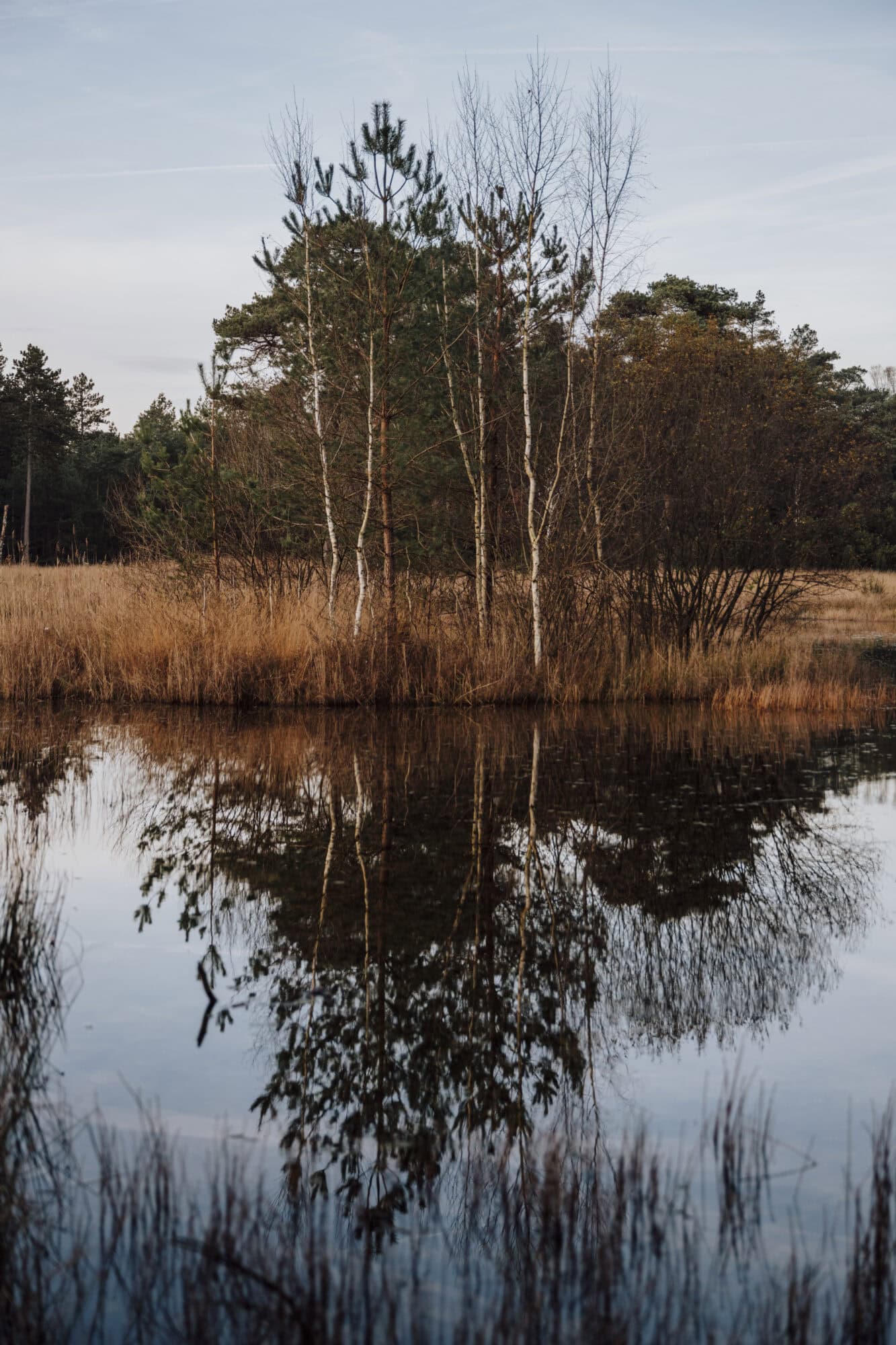 Rocky Roads | Fotoworkshop 'Cycle & Shoot' | Vrijdag 16 Januari 2026 Fotoworkshop Cycle & Shoot | Rocky Roads Travel