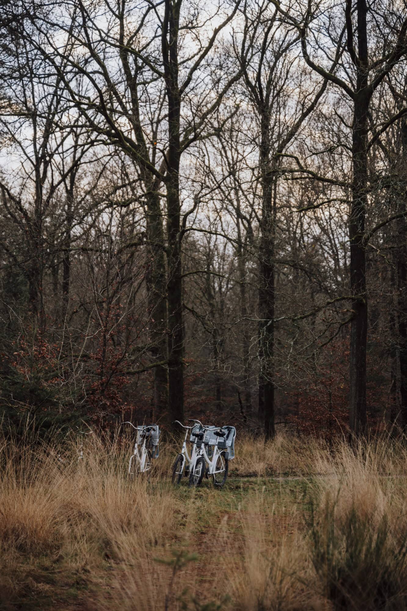 Rocky Roads | Fotoworkshop 'Cycle & Shoot' | Vrijdag 16 Januari 2026 Fotoworkshop Cycle & Shoot | Rocky Roads Travel