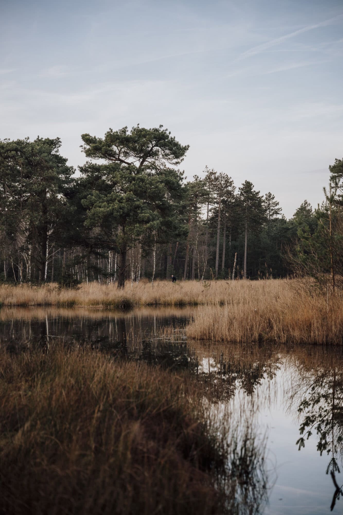 Rocky Roads | Fotoworkshop 'Cycle & Shoot' | Vrijdag 16 Januari 2026 Fotoworkshop Cycle & Shoot | Rocky Roads Travel