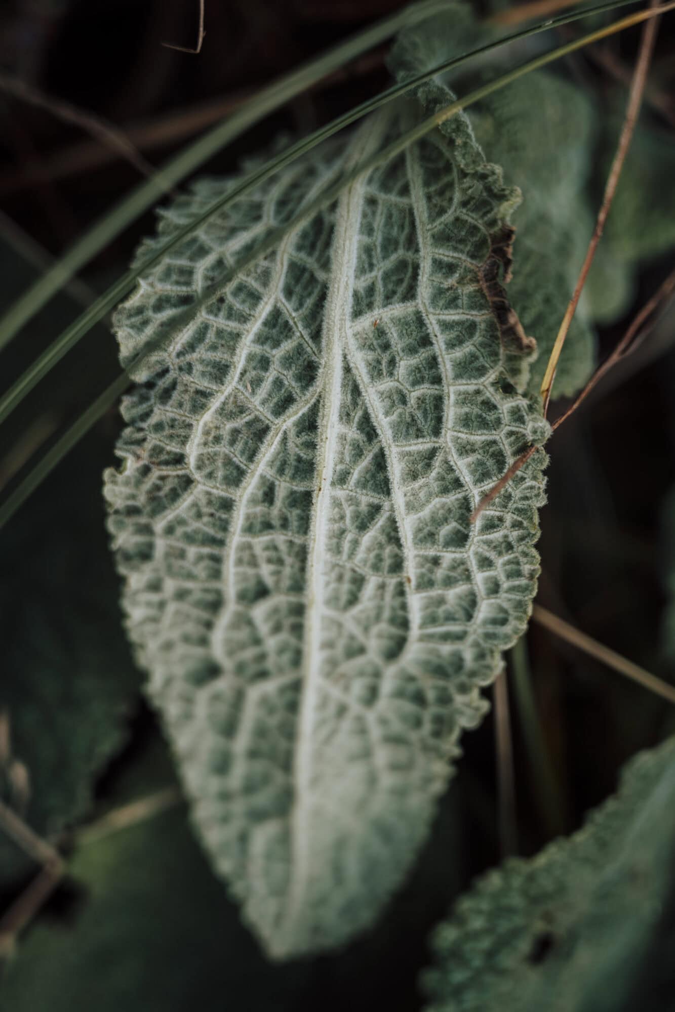 Rocky Roads | Fotoworkshop 'Cycle & Shoot' | Vrijdag 16 Januari 2026 Fotoworkshop Cycle & Shoot | Rocky Roads Travel