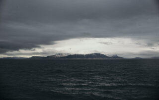 Walvisspotten in IJsland - Rocky Roads Travel