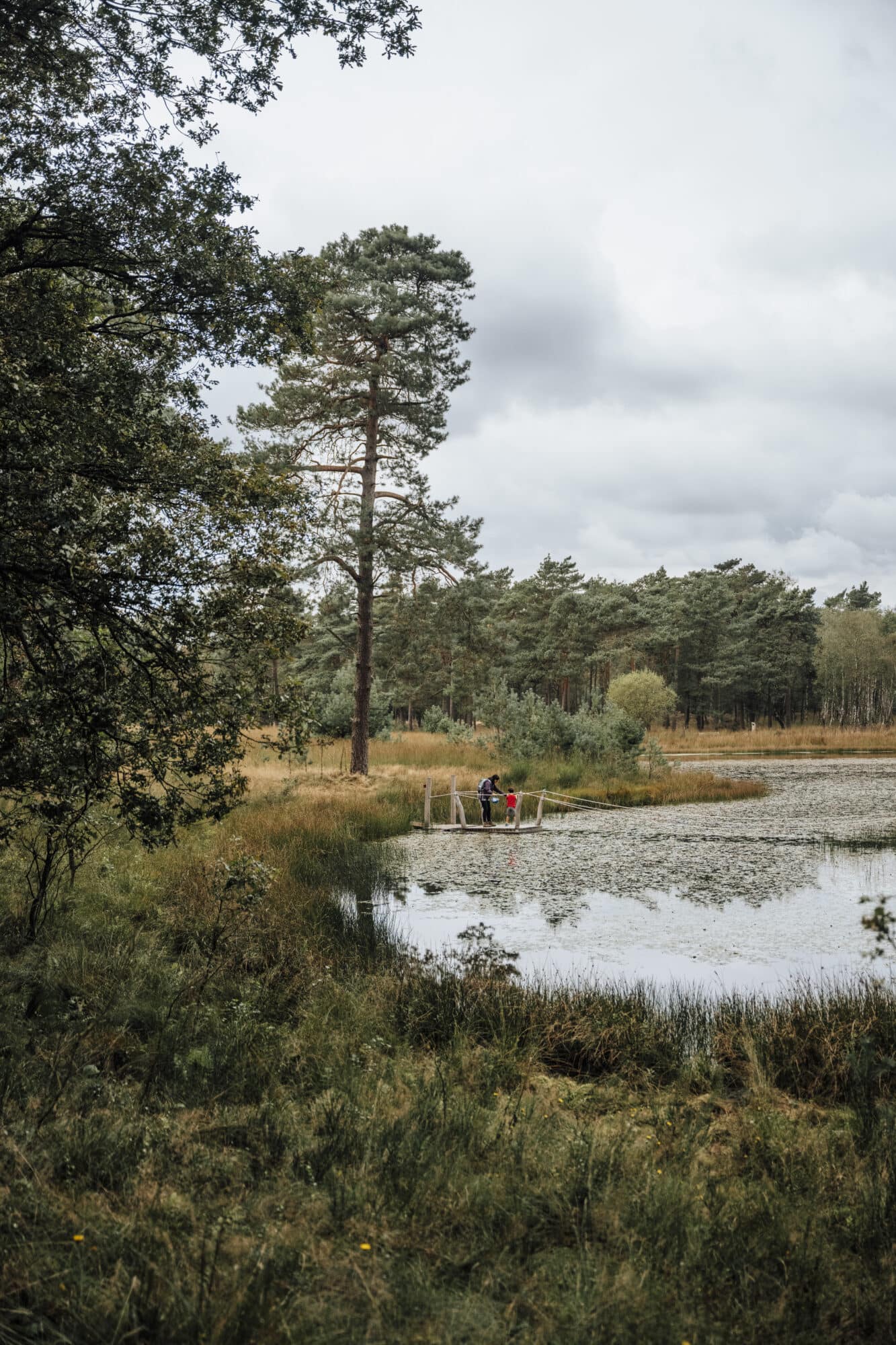Rocky Roads | Fotoworkshop 'Cycle & Shoot' | Vrijdag 16 Januari 2026 Fotoworkshop Cycle & Shoot | Rocky Roads Travel