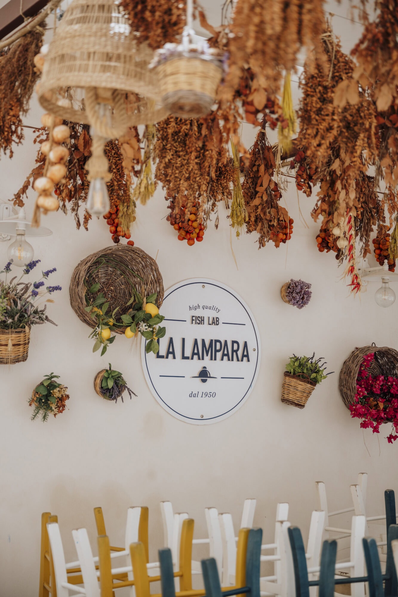 Rocky Roads | Wild Weekend Puglia | COMING 2026 Wild Weekend Puglia | Rocky Roads Travel