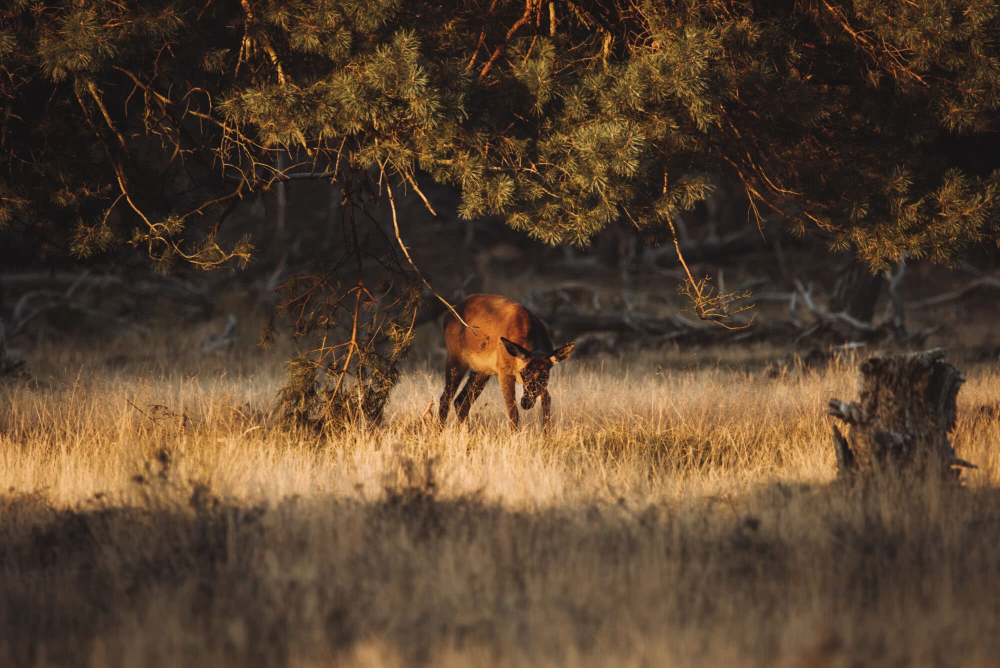 Rocky Roads | Fotoworkshop 'Cycle & Shoot' | Vrijdag 16 Januari 2026 Fotoworkshop Cycle & Shoot | Rocky Roads Travel