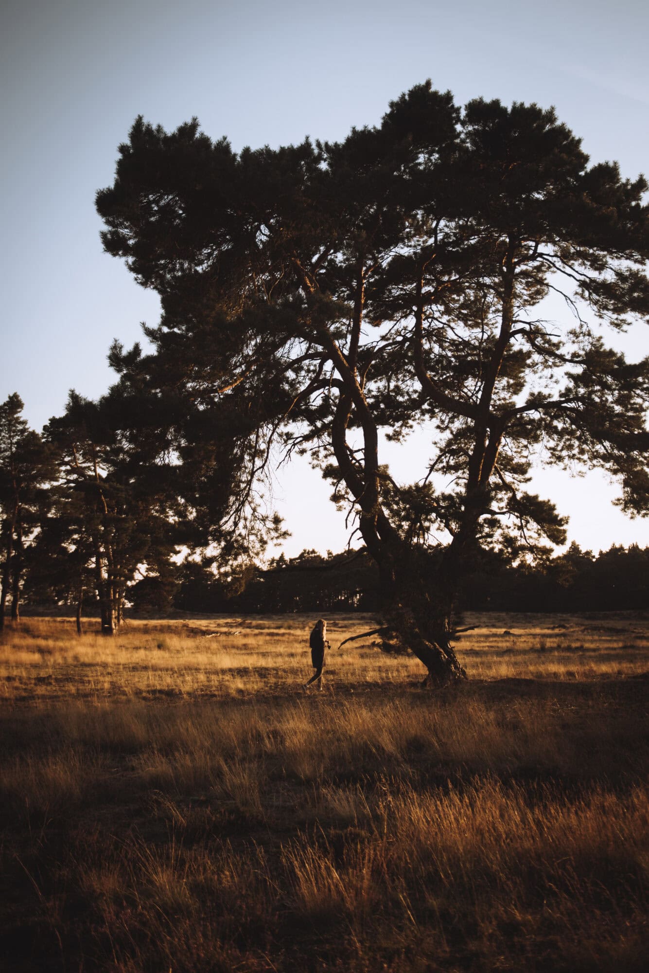 Rocky Roads | Fotoworkshop 'Cycle & Shoot' | Vrijdag 16 Januari 2026 Fotoworkshop Cycle & Shoot | Rocky Roads Travel