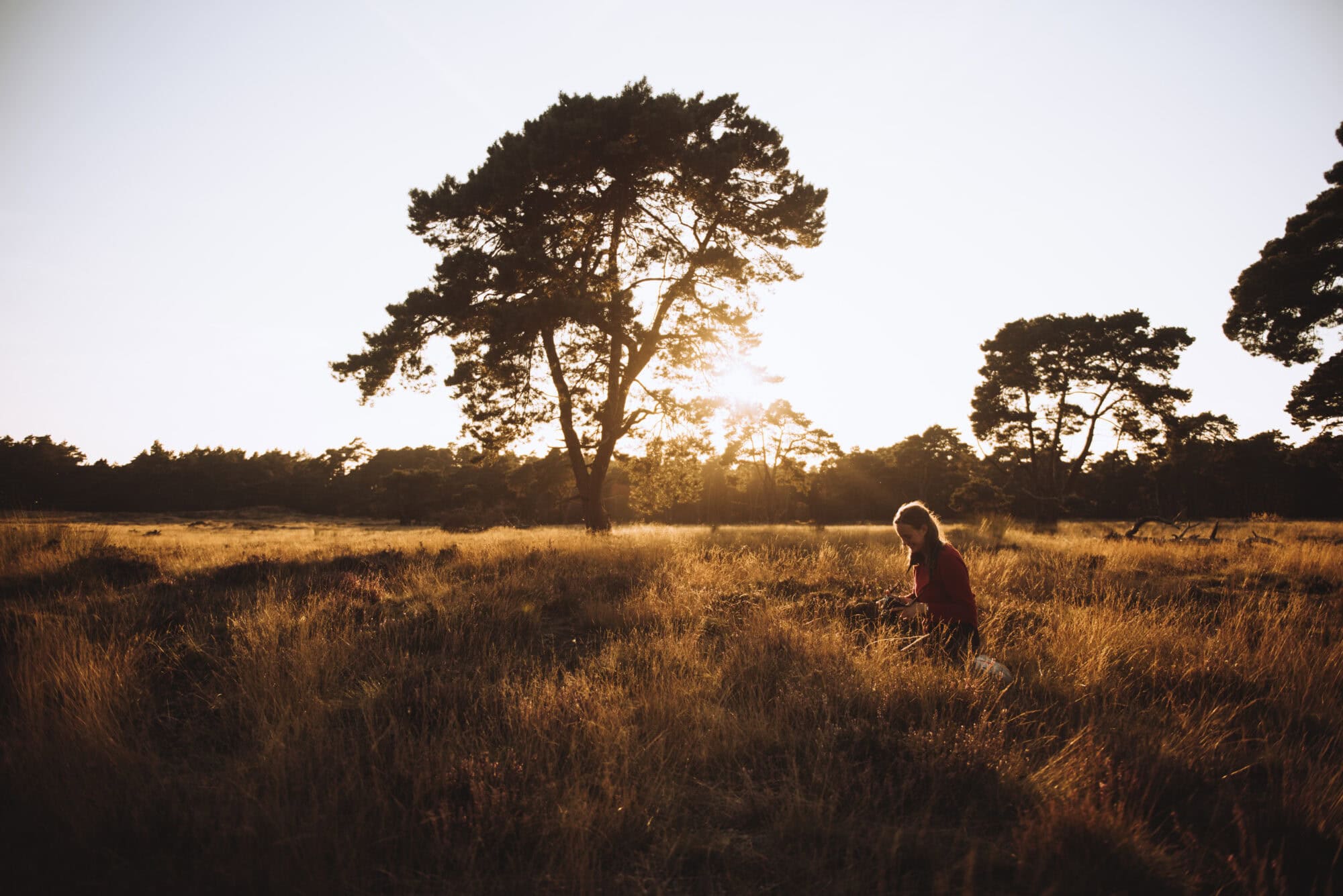 Rocky Roads | Fotoworkshop 'Cycle & Shoot' | Vrijdag 16 Januari 2026 Fotoworkshop Cycle & Shoot | Rocky Roads Travel