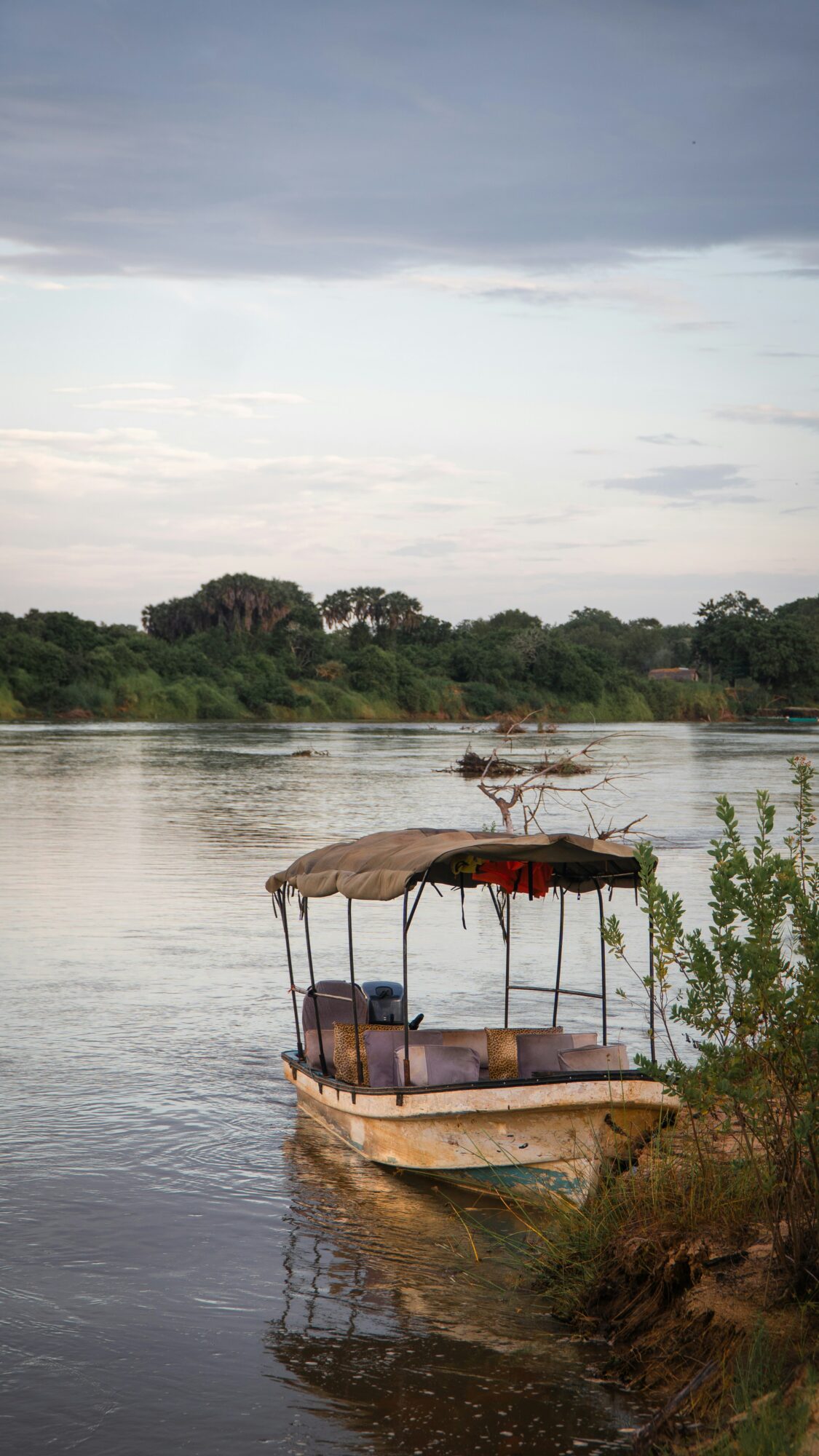 Rocky Roads | Fotoreis Tanzania 'Savannah Stories' | 1 t/m 11 Oktober 2026 | VOL! Fotoreis Tanzania | Rocky Roads Travel