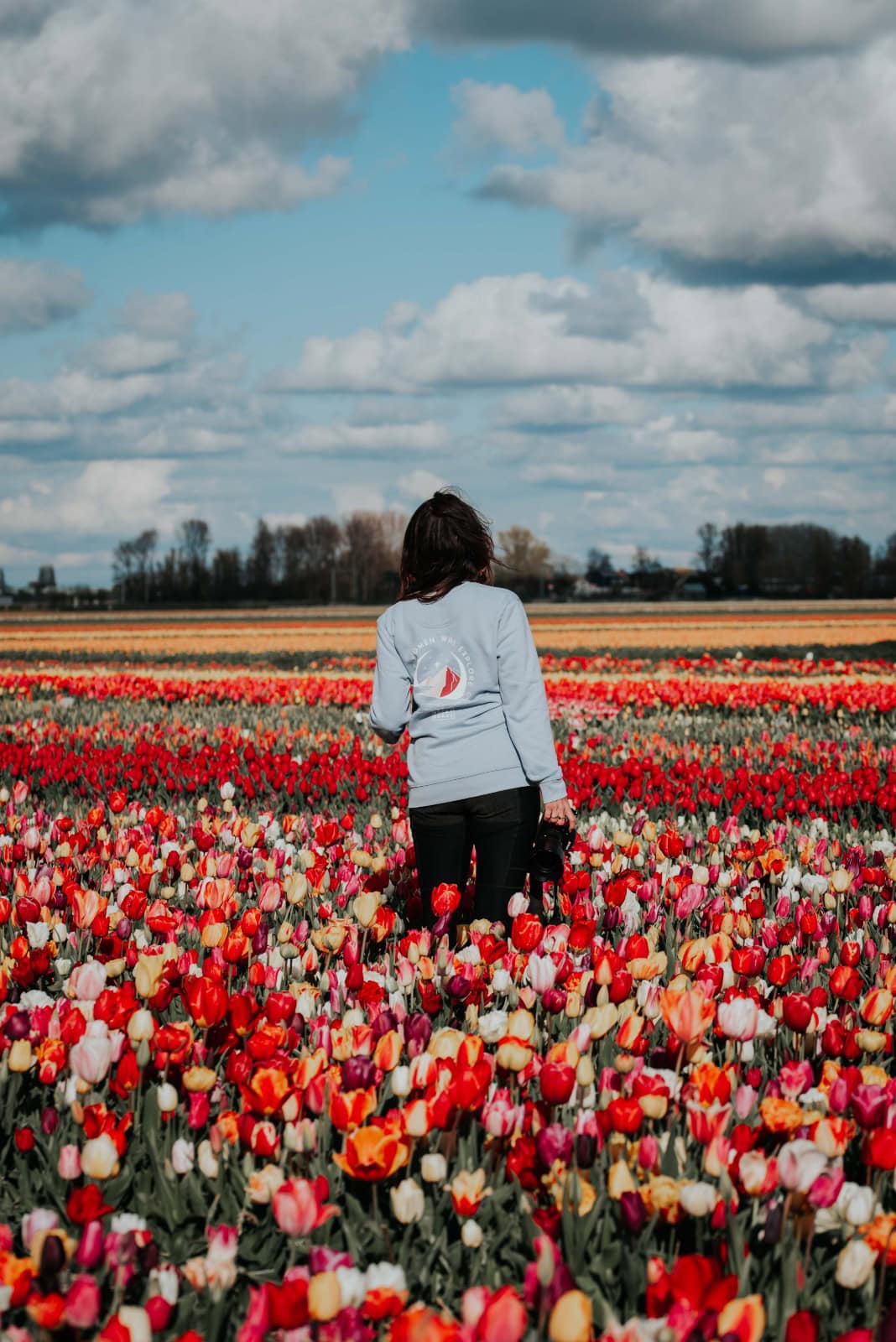 Rocky Roads | Sweater Rocky Roads Travel | Maat M - SAGE GROEN Sweater Rocky Roads Travel | Maat M - SAGE GROEN - Afbeelding 5