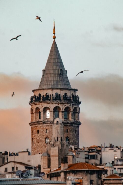 Wild Weekend Istanbul | Rocky Roads Travel